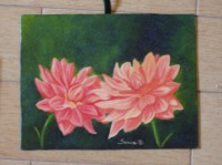 /album/galleria-fotografica/immagine-008-jpg/